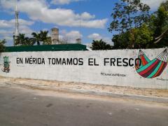 Barda 25: En Mérida tomamos el fresco. Fotografía: Enamora Mérida.