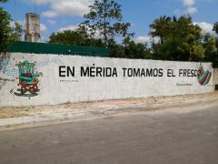 Barda 25: En Mérida tomamos el fresco. Fotografía: Enamora Mérida.