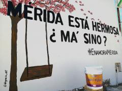 Barda 29: Mérida está hermosa ¿ma´sino? Fotografía: Enamora Mérida.