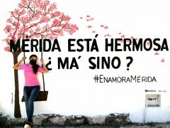 Barda 29: Mérida está hermosa ¿ma´sino? Fotografía: Enamora Mérida.