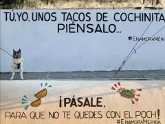 Barda 31: ¡Pásele para que no te quedes con el poch¡. Fotografía: Enamora Mérida.