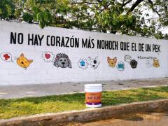 Barda 38: No hay corazón más nohoch que el de un pek. Fotografía: Enamora Mérida.