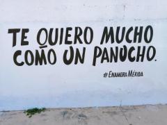 Barda 52: Te quiero mucho como un panucho (Calle 31). Fotografía: Enamora Mérida.