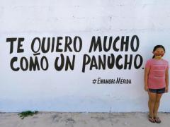 Barda 52: Te quiero mucho como un panucho (Calle 31). Fotografía: Enamora Mérida.