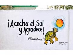 Barda 54: ¡Acecha el Sol y Agradece¡. Fotografía: Enamora Mérida.