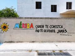 Barda 61 Mérida, quien te conozca no te olvidará jamás. Fotografía: Enamora Mérida.