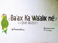 Barda 64: ¿Ba’ax ka wa’alik né? (¿Qué dices?). Fotografía: Enamora Mérida.