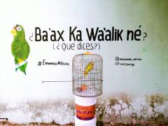 Barda 64: ¿Ba’ax ka wa’alik né? (¿Qué dices?). Fotografía: Enamora Mérida.