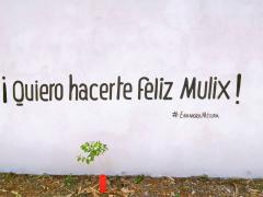 Barda 66: ¡Quiero hacerte feliz Mulix¡. Fotografía: Enamora Mérida.