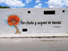 Barda 70: Tan chula y segura mi Mérida. Fotografía: Enamora Mérida.