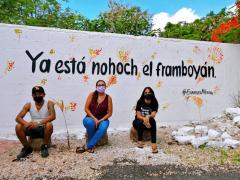 Barda 77: Ya está nohoch el framboyán. Fotografía: Enamora Mérida.