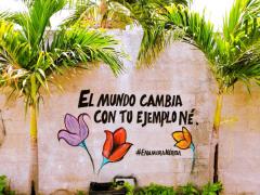 Barda 79: El mundo cambia con tu ejemplo né. Fotografía: Enamora Mérida.