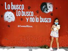 Barda 80: Lo busco, lo busco... y no lo busco. Fotografía: Enamora Mérida.