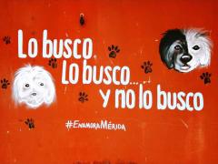 Barda 80: Lo busco, lo busco... y no lo busco. Fotografía: Enamora Mérida.