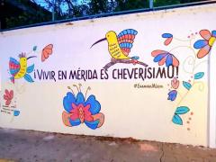 Barda 81: ¡Vivir en Mérida es cheverísimo¡. Fotografía: Enamora Mérida.