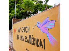 Barda 88: ¡Ay chuch, que linda es Mérida¡. Fotografía: Enamora Mérida.