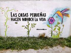 Barda 90: Las cosas pequeñas hacen nohoch la vida (Calle 74B). Fotografía: Enamora Mérida.