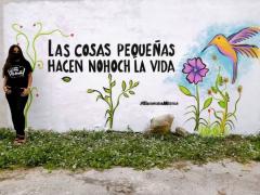 Barda 90: Las cosas pequeñas hacen nohoch la vida (Calle 74B). Fotografía: Enamora Mérida.
