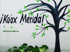 Barda 98: ¡Ko’ox Mérida¡. Fotografía: Enamora Mérida.