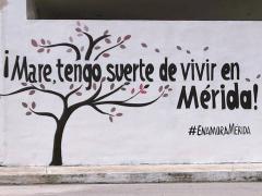 Barda: ¡Mare, tengo suerte de vivir en Mérida¡ (Calle 72A). Fotografía: Enamora Mérida.